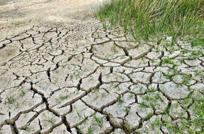 Conagua estima que la sequía en el norte y noroeste del país continúe hasta finales del 2022