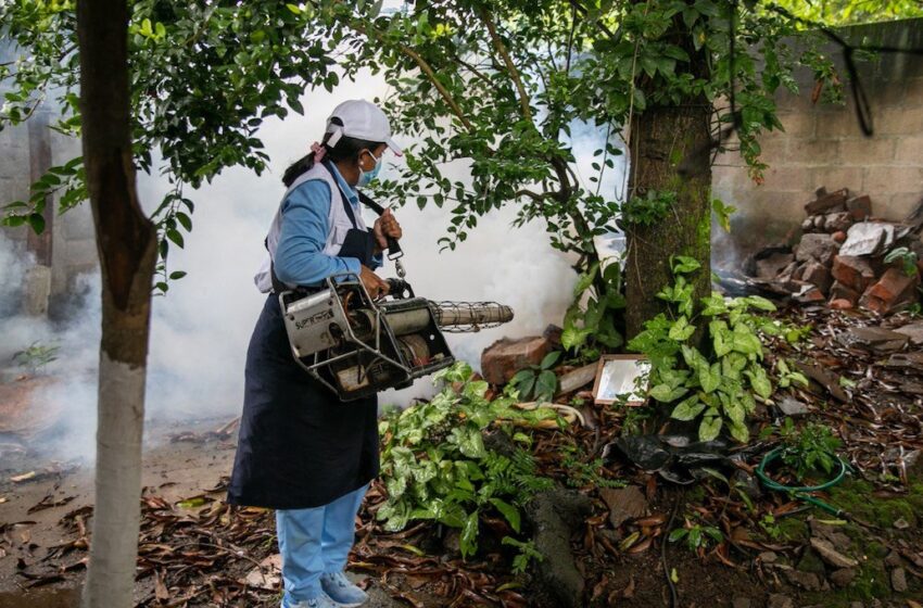 Epidemia de dengue continua en Cuentepec, Morelos