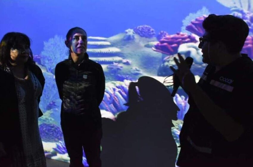 Nuevo acuario virtual llega a Iztapalapa en CDMX, en el Museo Barco Utopía