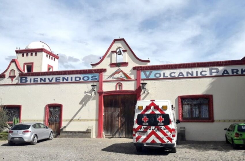 Ricardo “N” es vinculado a proceso; Sus perros mataron 32 vendados de Volcanic Park