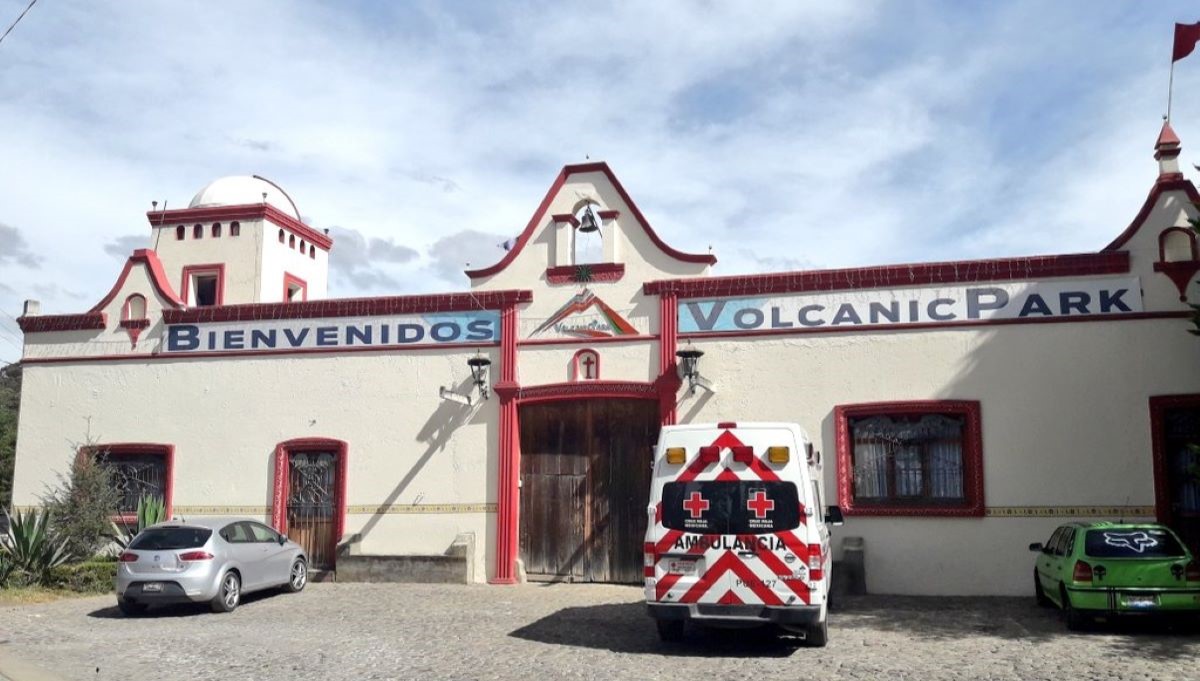 Ricardo “N” es vinculado a proceso; Sus perros mataron 32 vendados de Volcanic Park