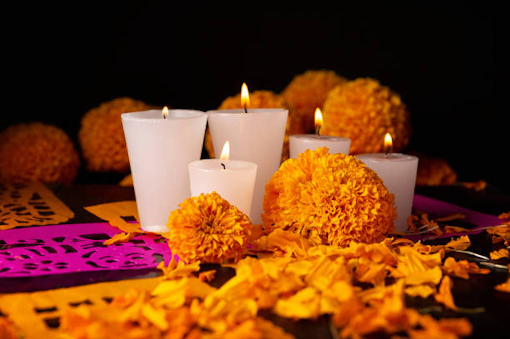 ¿Por qué la Flor de Cempasúchil es un símbolo de la cultura mexicana?