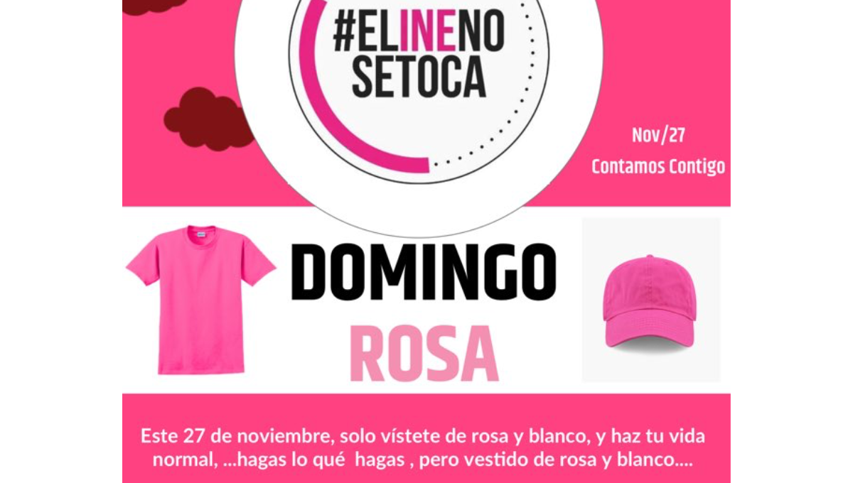 Oposición convoca a “marea rosa” el día de la marcha del presidente López Obrador￼