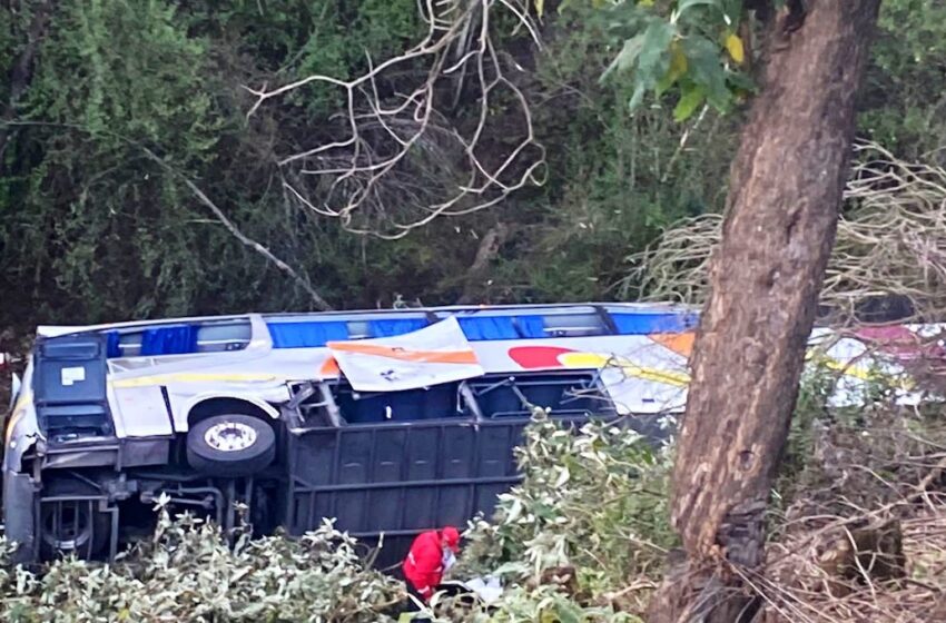 Accidente en la autopista México-Puebla; saldo de un muerto y 17 heridos