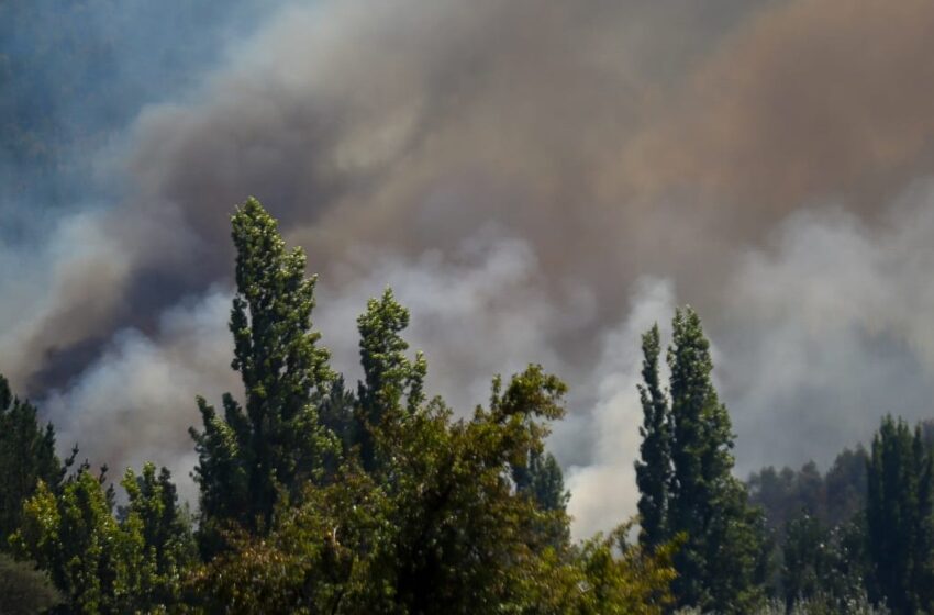 Suman 22 fallecidos por los incendios forestales en Chile