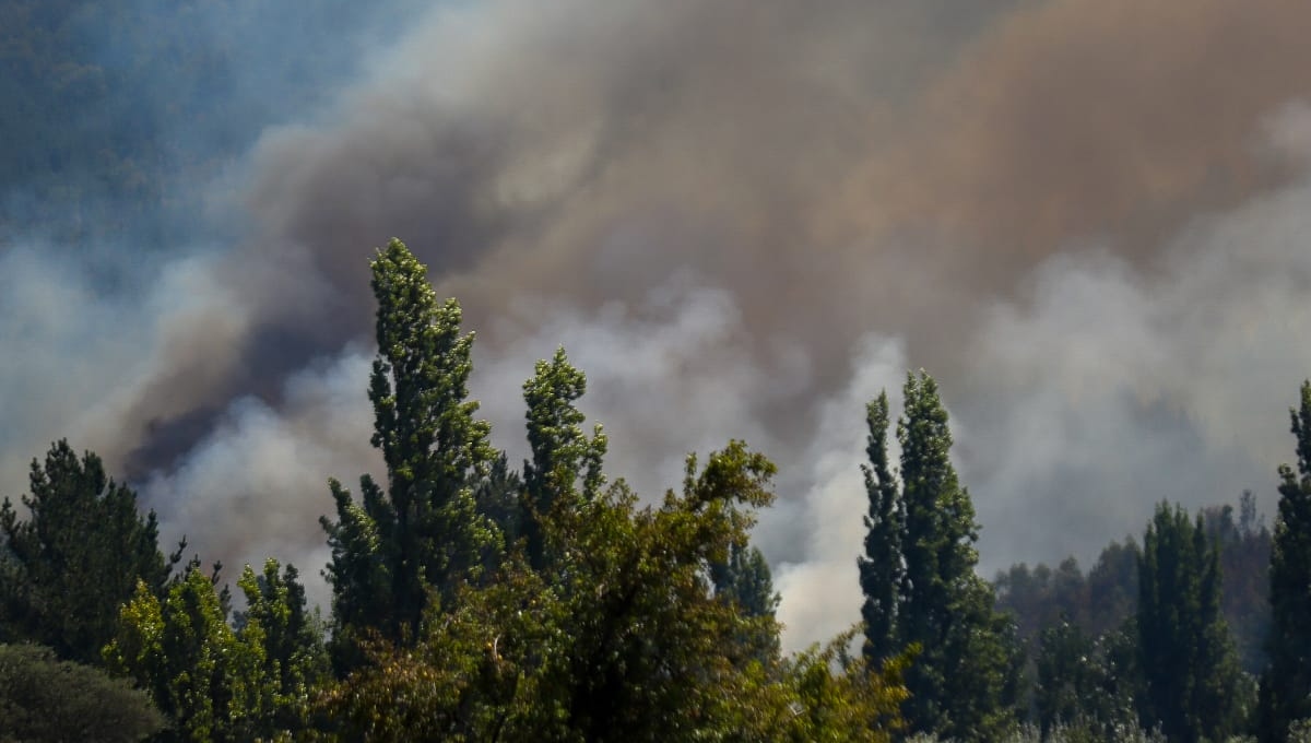 Suman 22 fallecidos por los incendios forestales en Chile