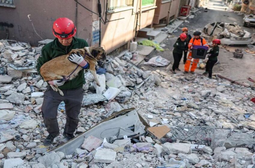 Turquía registra nuevo terremoto; reportan 3 muertos y 213 heridos