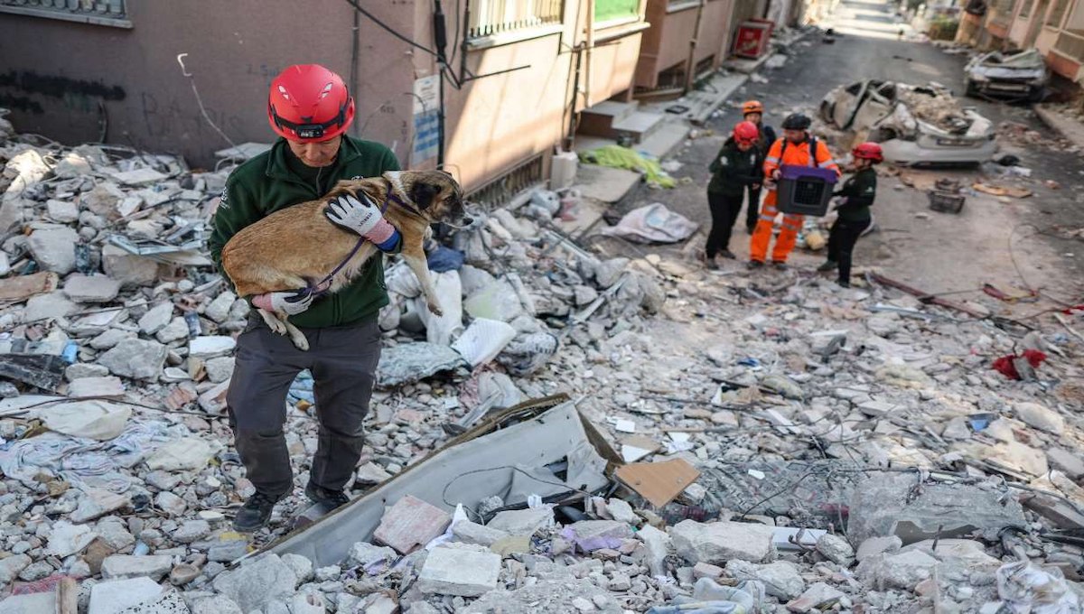 Turquía registra nuevo terremoto; reportan 3 muertos y 213 heridos