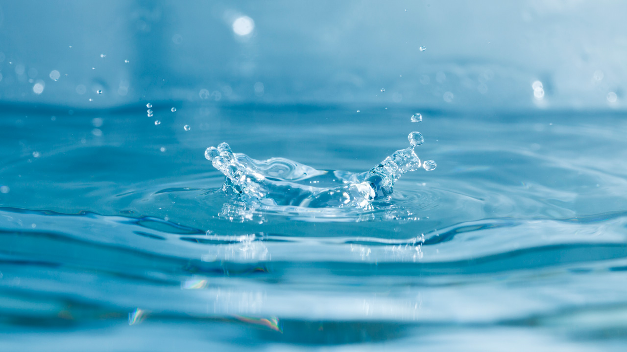Día Mundial del Agua: “Hemos roto el ciclo del agua”, advierte ONU