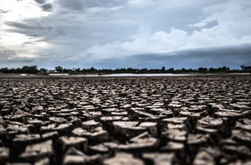 México: 50% del país sufre sequía, conoce cuáles son los estados afectados