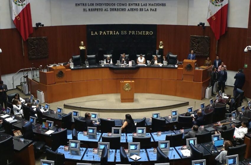Rechaza Senado nombramiento de Ricardo Salgado como comisionado del INAI￼