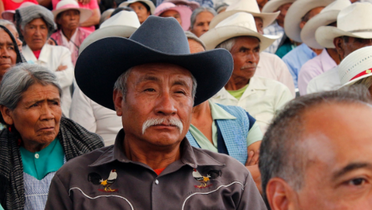 Ten cuidado: así roban la pensión de los adultos mayores por WhatsApp