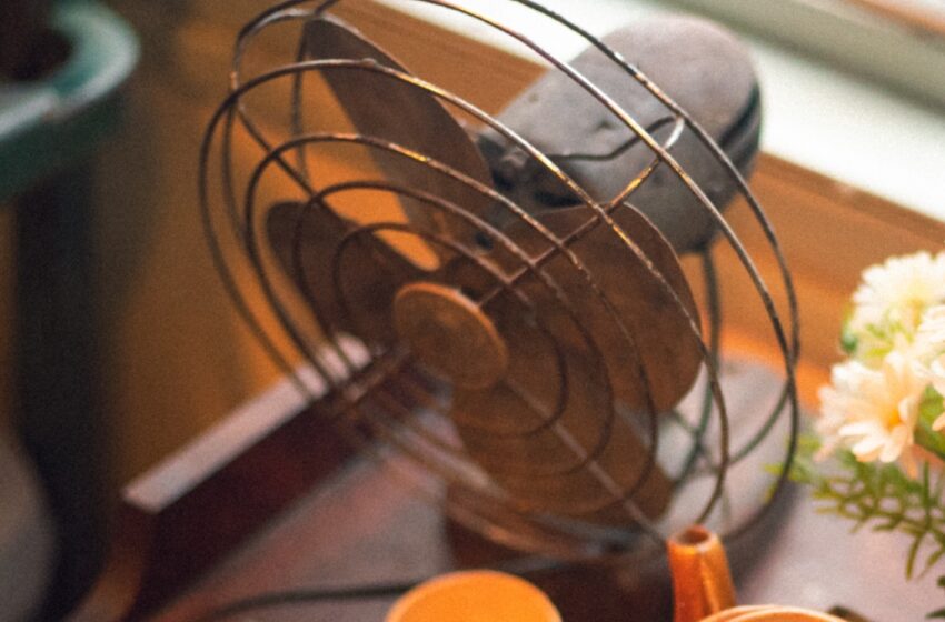 ¡Qué calor! Profeco expone los mejores ventiladores para tu hogar