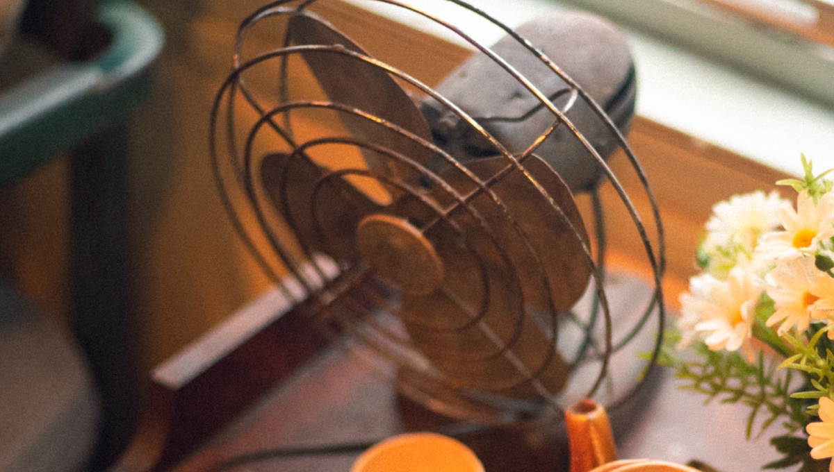 ¡Qué calor! Profeco expone los mejores ventiladores para tu hogar