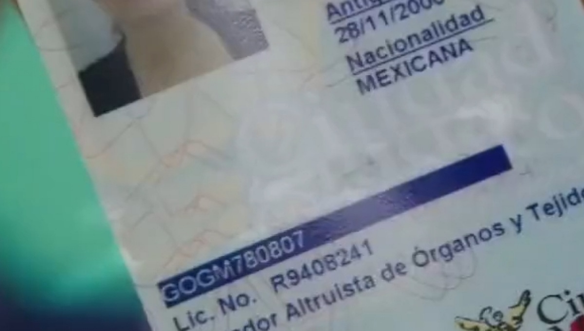 Conoce el precio de las licencias de conducir en México