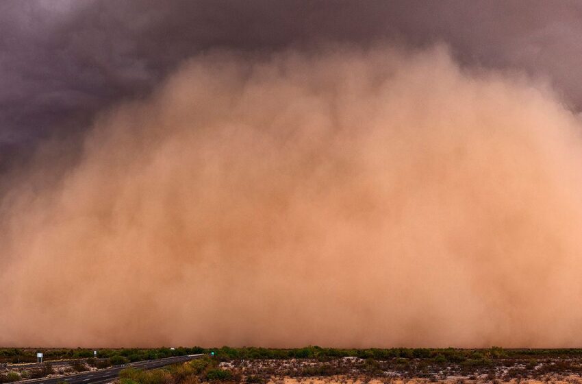 Polvo del Sahara llega a México, ¿cuáles son sus efectos?