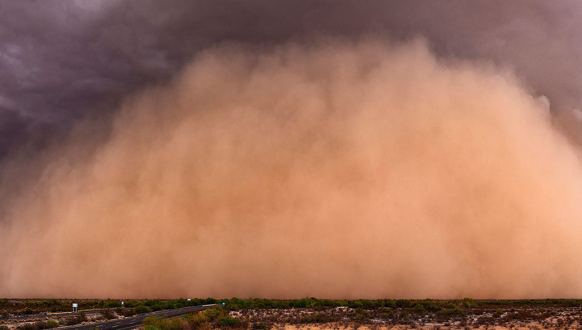 Polvo del Sahara llega a México, ¿cuáles son sus efectos?
