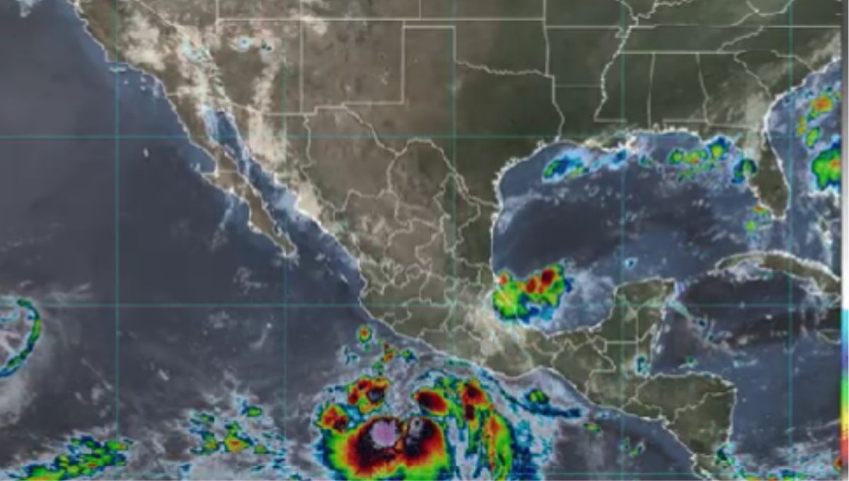 Se forma la tormenta tropical Hilary en el Océano Pacífico; ¿qué estados afectará?