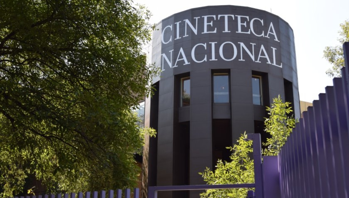 Conoce la cartelera gratuita de la Nueva Cineteca Nacional de las Artes