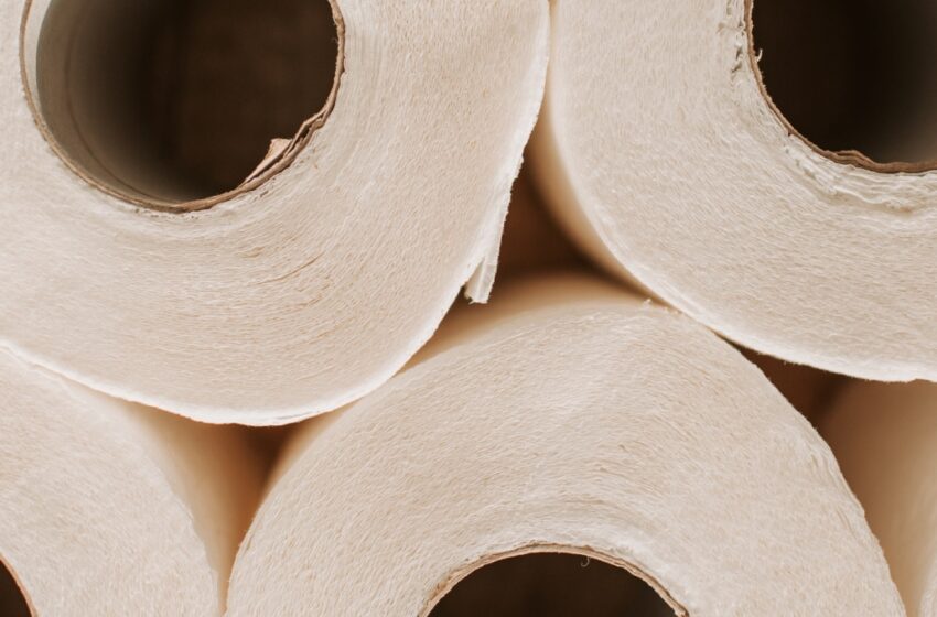 Estas son las mejores marcas de papel higiénico según Profeco; miden precio y calidad