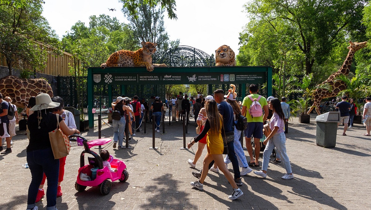CDMX: Esta es la cartelera de actividades gratis para este octubre en el Bosque de Chapultepec