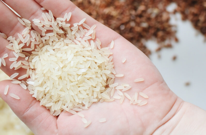 Esta es la marca de arroz que más tiene proteína, según la Profeco