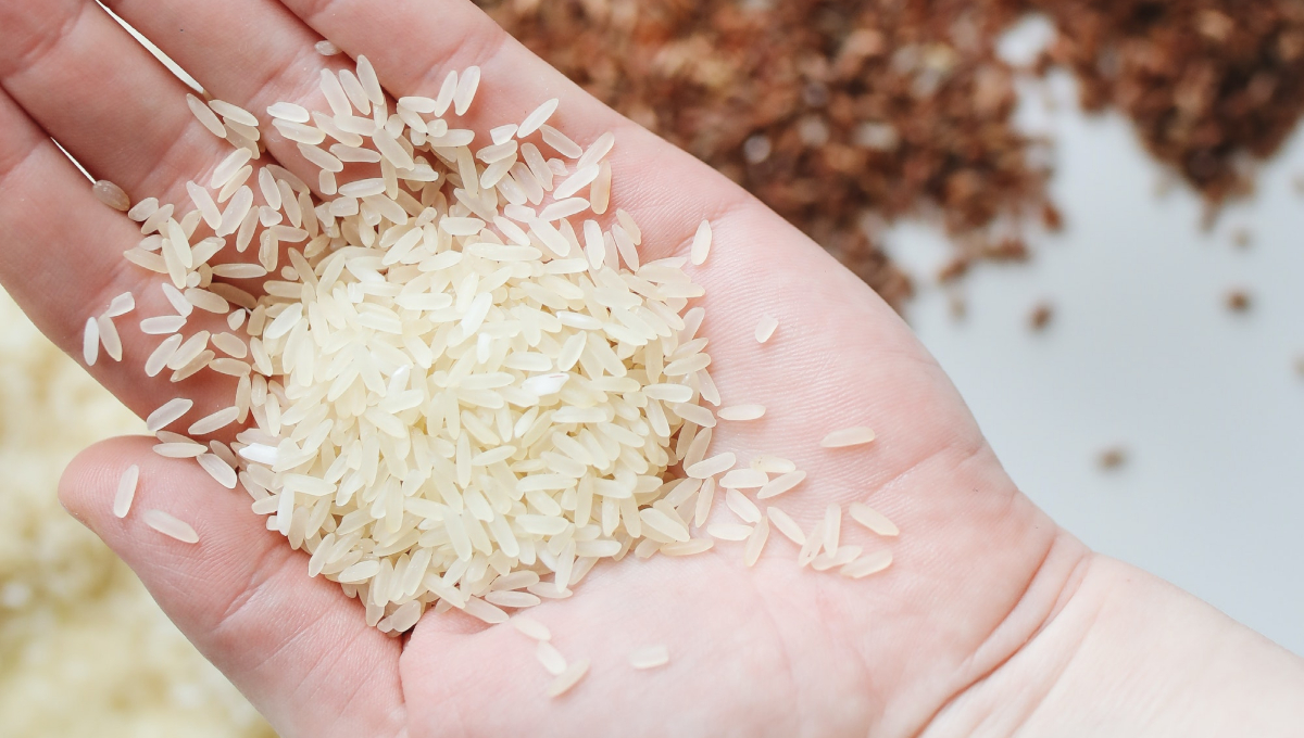 Esta es la marca de arroz que más tiene proteína, según la Profeco