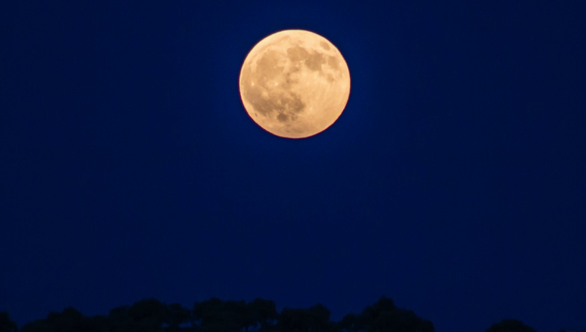 Luna Fría: La última luna llena de 2023, un espectáculo astronómico en México
