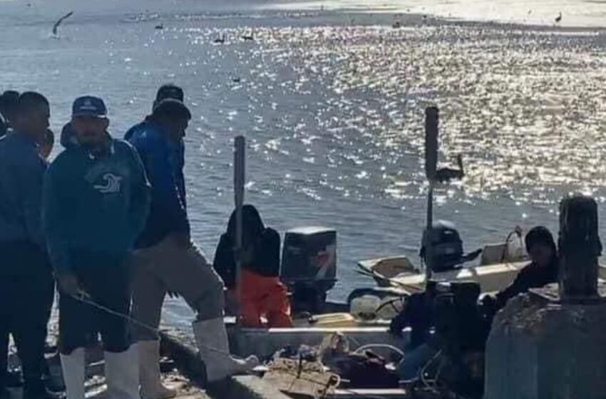Joven pescador muere por ataque de un tiburón en playa de Huatabampo, Sonora