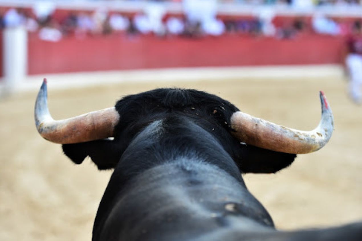 Nuevamente suspenden corridas de toros en la Plaza México