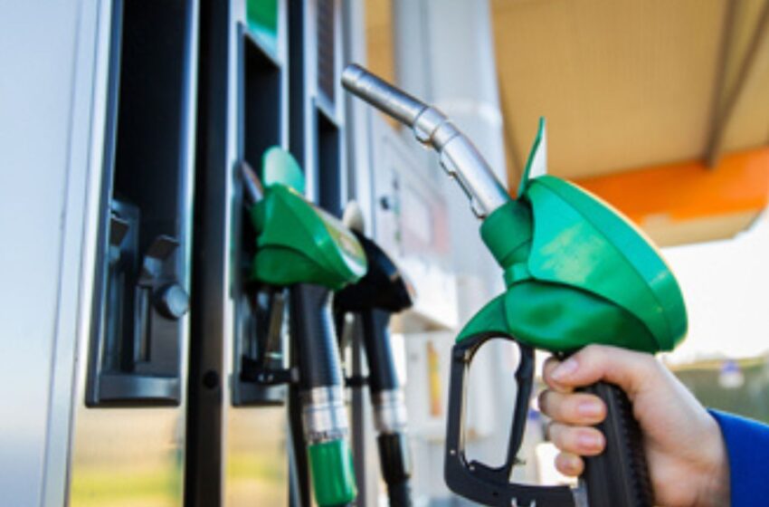 Conoce el precio de la gasolina en México hoy 17 de enero