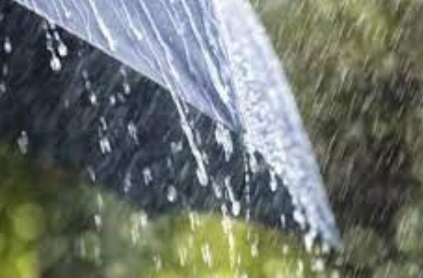 Toma precauciones: Prevén lluvias fuertes en estos estados