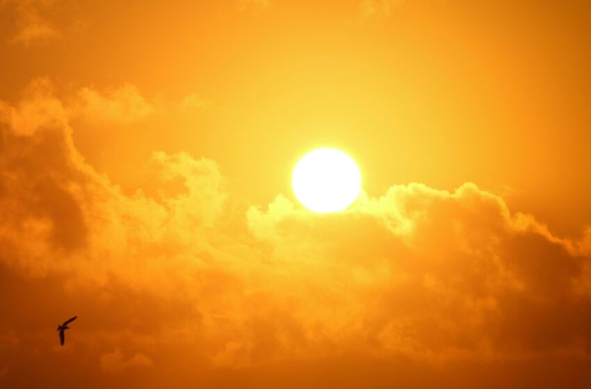 Prevén 15 días de fuerte calor en CDMX: ¿Cuándo serán?