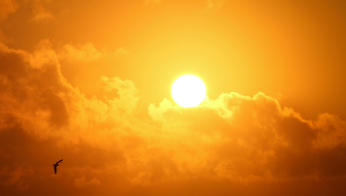 Prevén 15 días de fuerte calor en CDMX: ¿Cuándo serán?
