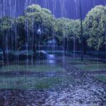Lluvias