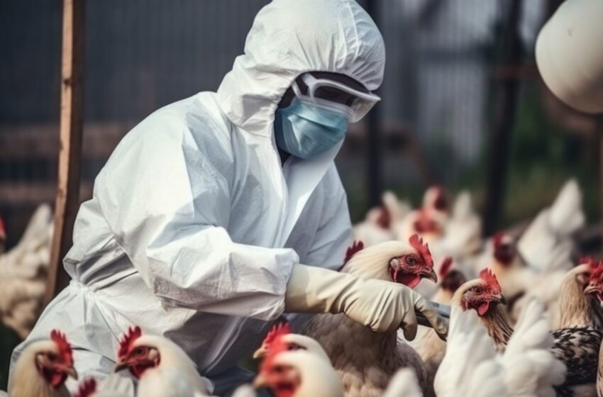 La OMS aclara: Paciente en México con gripe aviar “murió por causas multifactoriales”