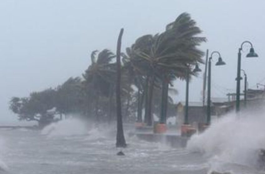 Huracán Beryl impacta en Tulum, Quintana Roo; se reporta saldo blanco