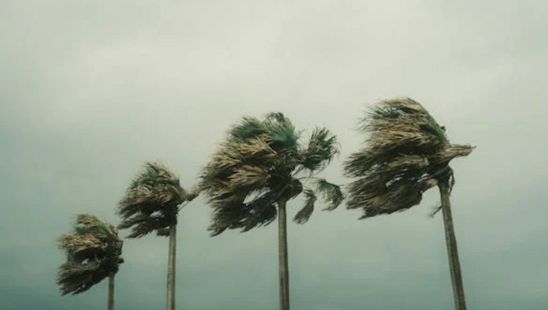 Tormenta tropical ‘Ernesto’ se convierte en huracán categoría 1