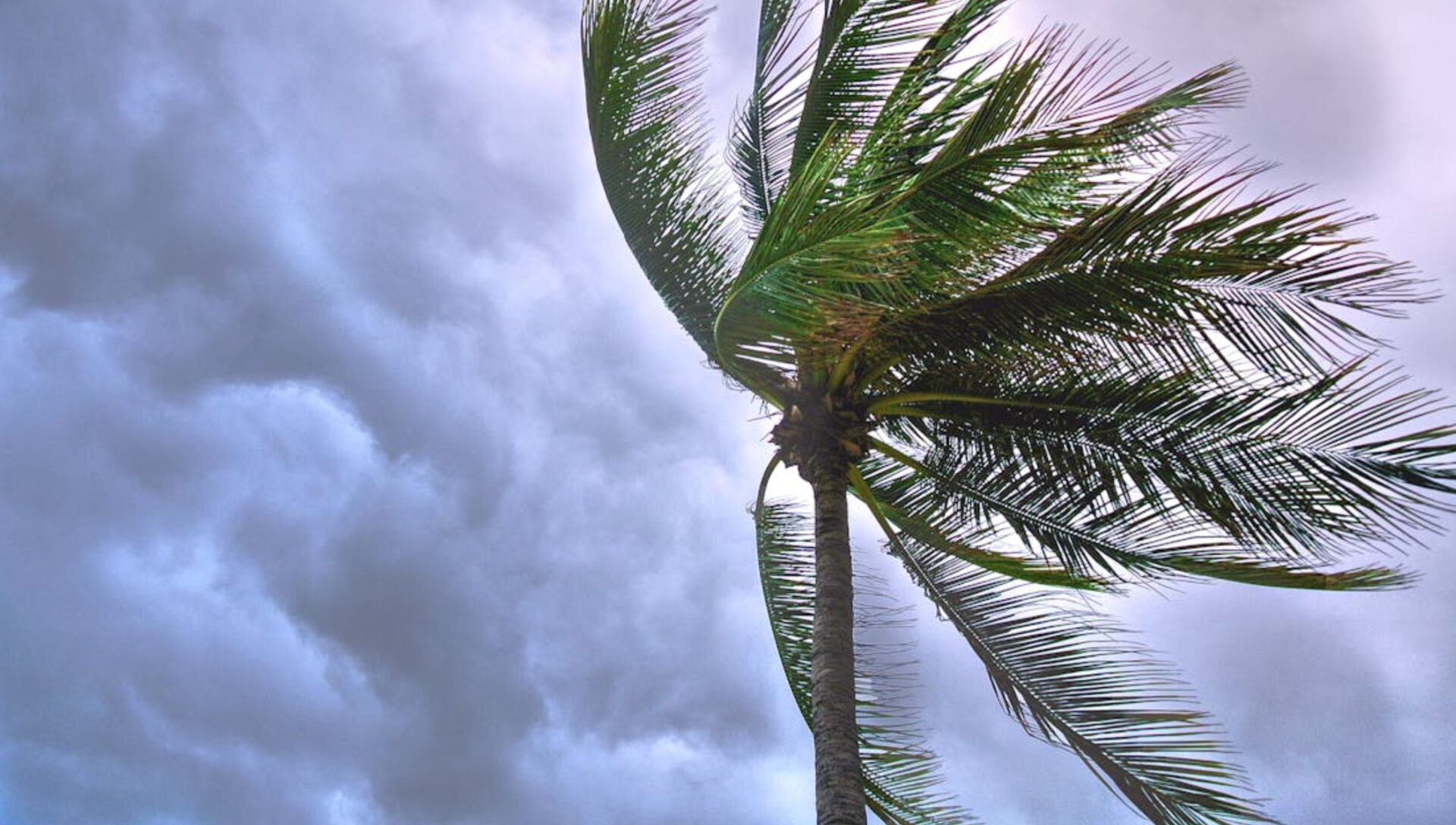 Tormenta ‘Carlota’ se fortalece, ¿qué estados afectará?