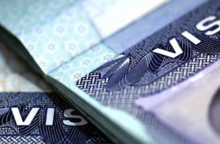Visa EU