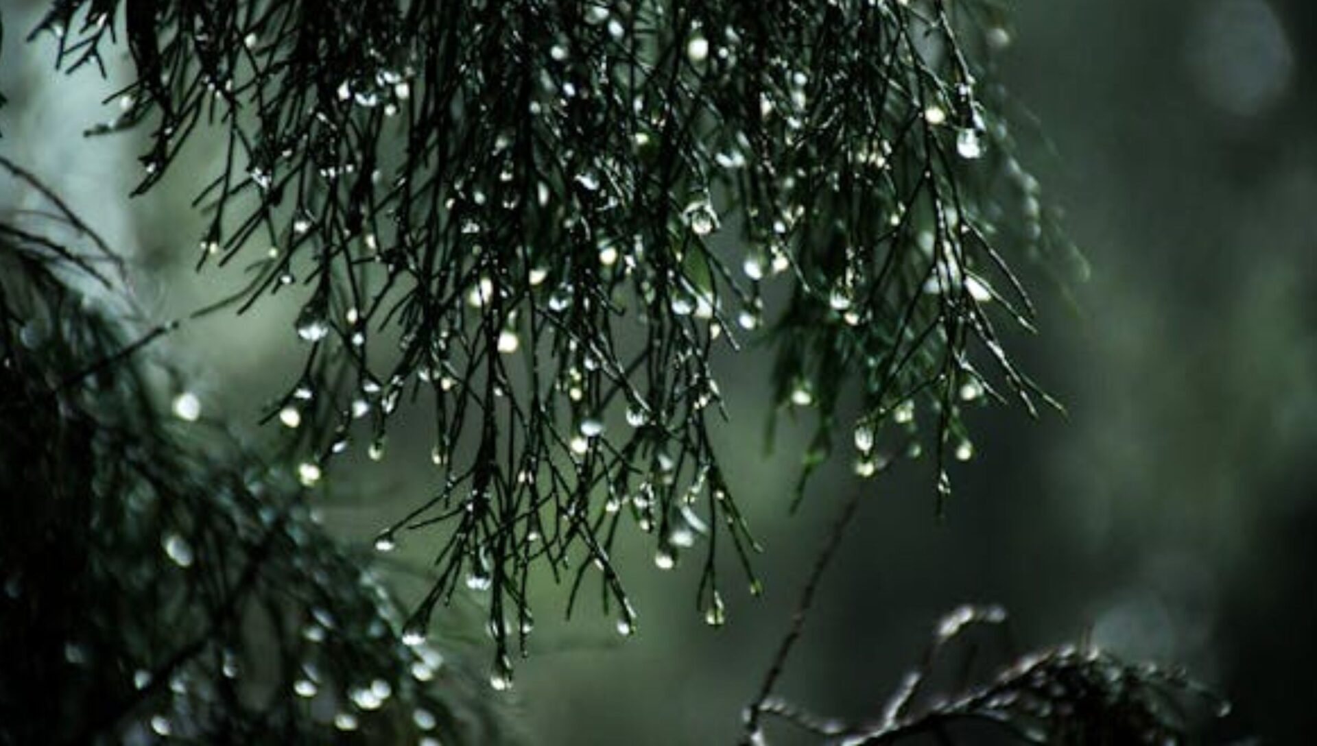 Clima de hoy: Ingresa el primer Frente Frío con fuertes lluvias, tormentas y granizadas