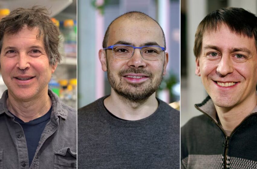 David Baker y John M. Jumper, junto a Demis Hassabis ganan Nobel de Química 2024