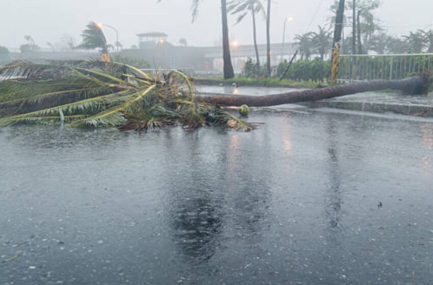 SRE alerta a mexicanos en Florida por el avance del huracán Milton