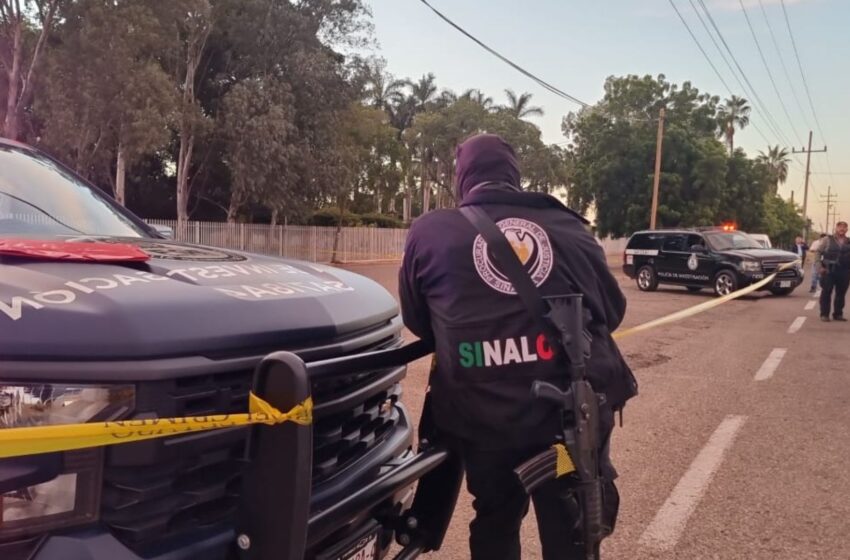 Violencia en Sinaloa: abandonan 5 cuerpos frente a la Facultad de Agronomía