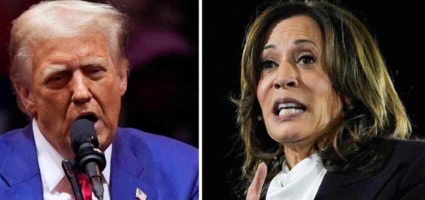 Donald Trump, Kamala Harris