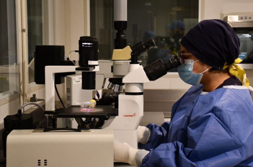 Cofepris suspende a empresa ligada a casos de bacteria Klebsiella oxytoca