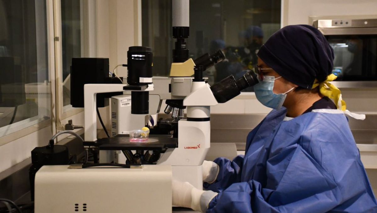 Cofepris suspende a empresa ligada a casos de bacteria Klebsiella oxytoca