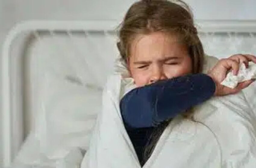 Aumentan casos de tos ferina en México: registran 288
