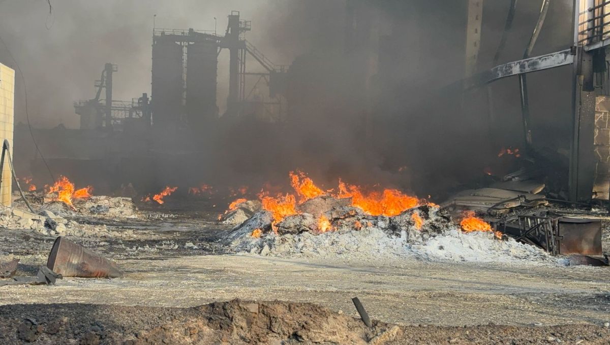 Se registran 239 incendios en Nuevo León; hay indicios de que fueron provocados