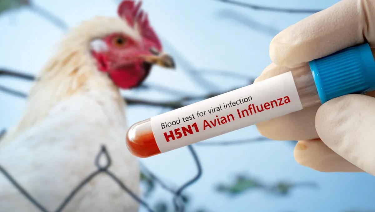 Informan muerte de menor contagiada con influenza aviar en México